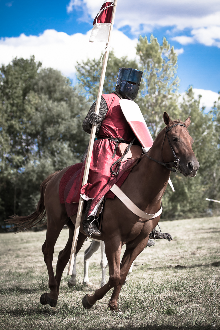 Muret 1213 2013 (36 sur 63)